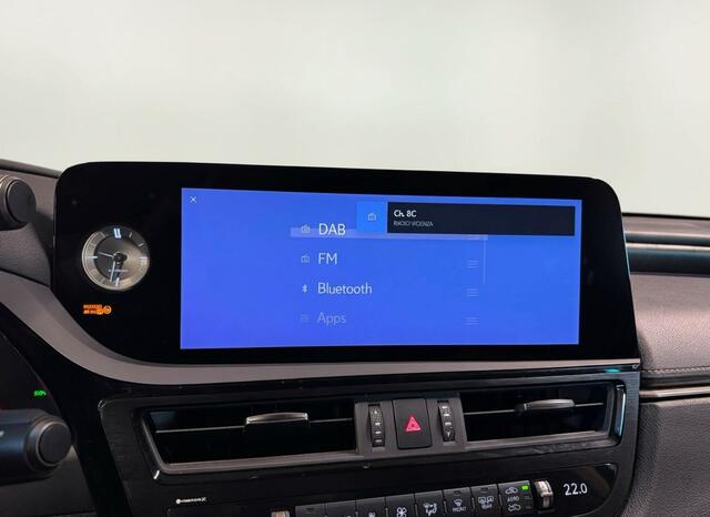 Lexus Es 300h President Line | Mark Levinson | 360' Camera | Carplay |