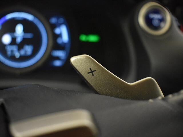 Lexus IS 300h Hybrid F-Sport Line | Leder pakket | Memoryfunctie |