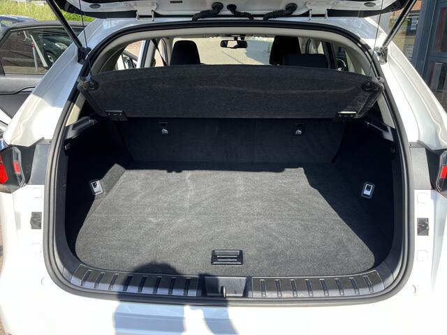 Lexus NX 300h AWD