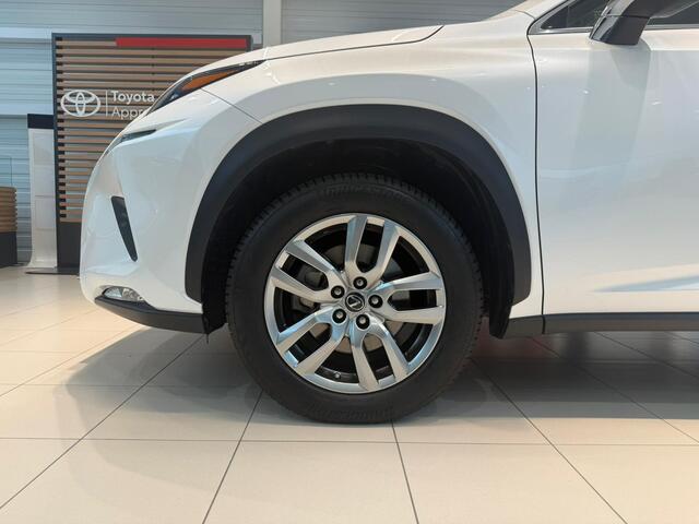 Lexus NX 300h AWD Business Line | Trekhaak |