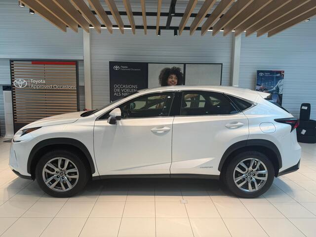Lexus NX 300h AWD Business Line | Trekhaak |