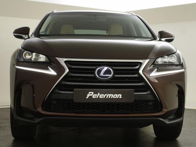 Lexus NX 300h AWD 25th Edition | Parkeersensoren | Trekhaak | Cruise Cont