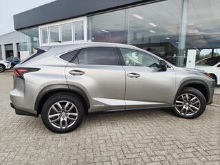 lexus-nx-300h-awd-sport-edition--t