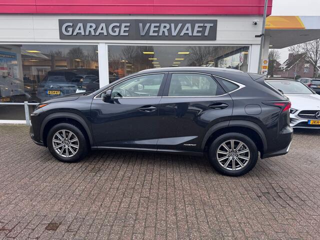 Lexus NX 300h AWD Business Line