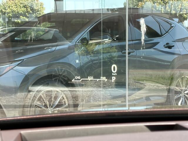 Lexus RX 450h 4WD President Line | 2000Kg Trekgew. | Mark Levinson | Schu