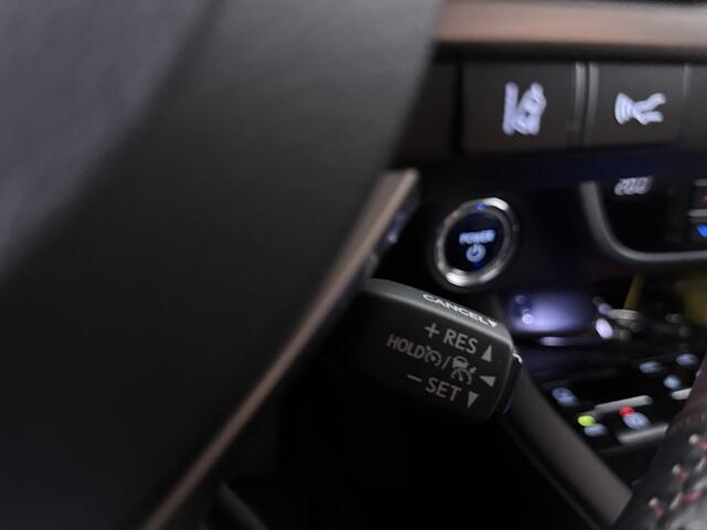 Lexus RX 450h 4WD Luxury Line | Afneembare Trekhaak |