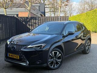 lexus-ux-250h-business-line-camera-