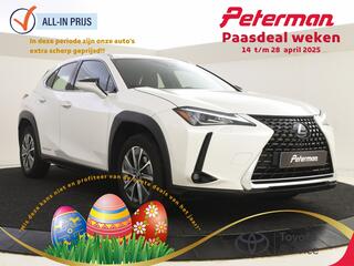 lexus-ux-300e-business-54-kwh--ele