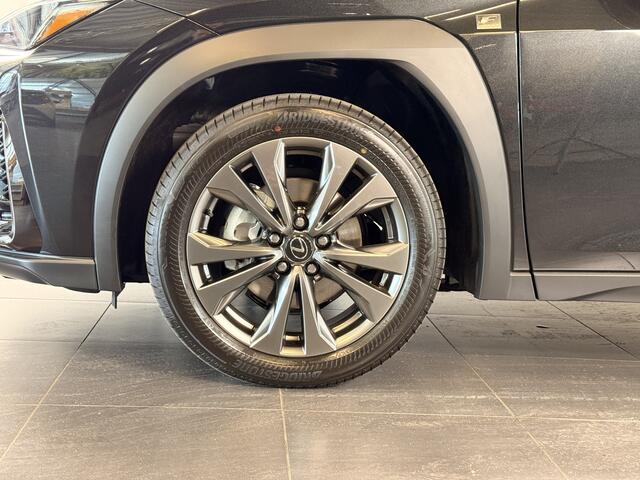 Lexus Ux 300h 35th Edition | Apple Carplay | Licht leder |