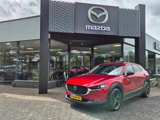 mazda-cx-30-e-skyactiv-x-186-6at-m-