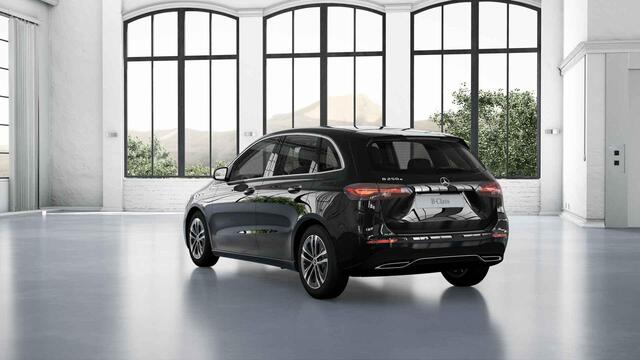 Mercedes-Benz B-KLASSE 250 e Business Line | Winter pakket | Apple carplay |