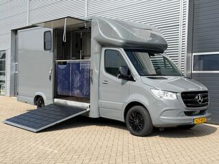 mercedes-benz-sprinter-315cdi-paard
