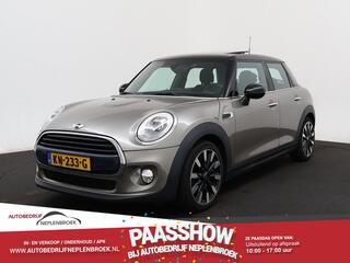 mini-cooper-mini-1.5-chili-business