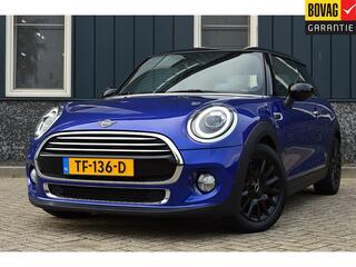 mini-cooper-mini-1.5-pepper-rijklaa