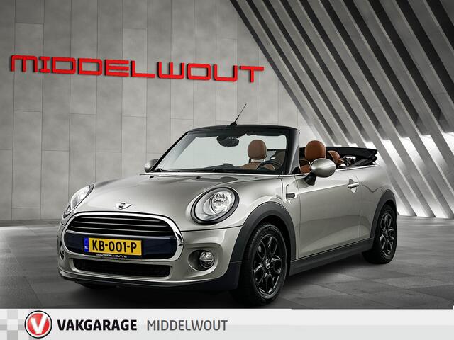 Mini COOPER Mini Cabrio 1.5 Pepper/Leder/Sportstoelen/16"/Navi/Ned.Auto