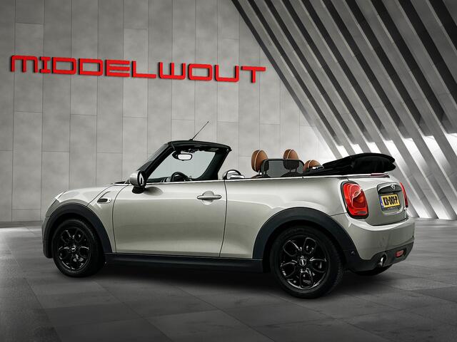Mini COOPER Mini Cabrio 1.5 Pepper/Leder/Sportstoelen/16"/Navi/Ned.Auto