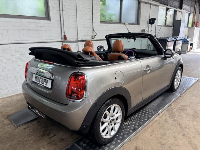 Mini COOPER Cabrio Chili Leder Cruise Clima Navi Pdc