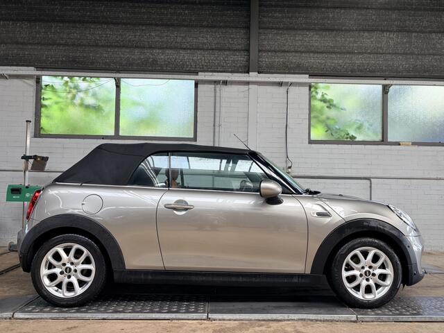Mini COOPER Cabrio Chili Leder Cruise Clima Navi Pdc
