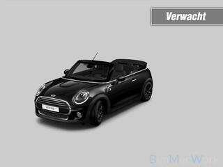 Mini Cabrio