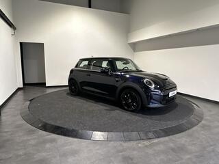 mini-electric-mini-business-edition