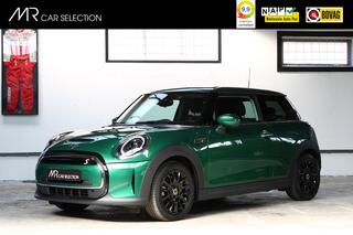 mini-electric-mini-business-edition