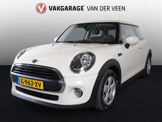 mini-mini-1.5-one-salt