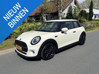 mini-mini-1.5-chili-naviocruiseoled