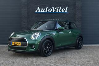 mini-one-mini-1.5-chili--panodak-