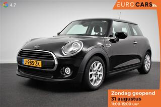 mini-one-mini-1.5-first-salt--airc