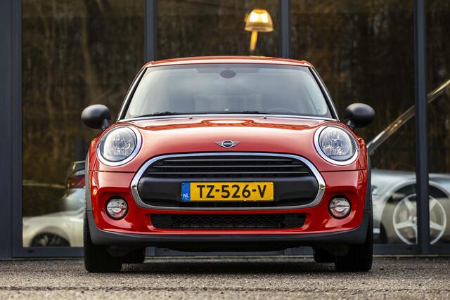 Mini ONE Mini 1.5 Pepper