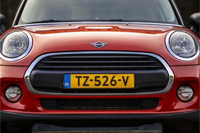 Mini ONE Mini 1.5 Pepper