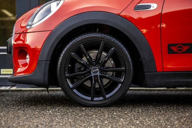 Mini ONE Mini 1.5 Pepper