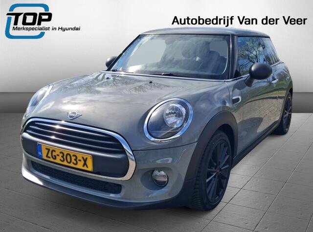 Mini ONE Mini 1.5 Salt