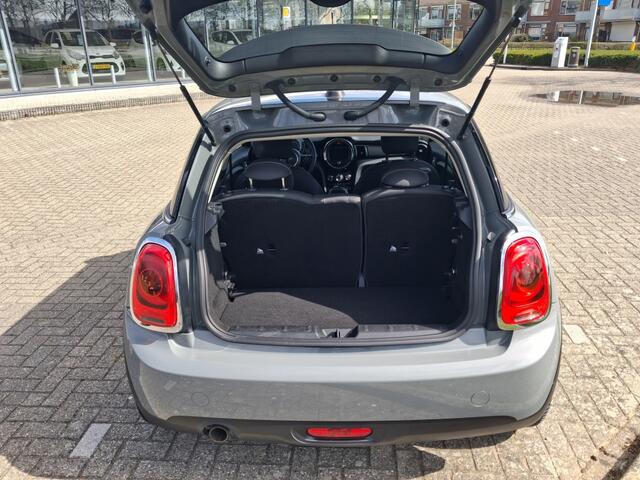 Mini ONE Mini 1.5 Salt