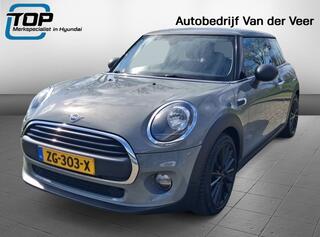 mini-one-mini-1.5-salt