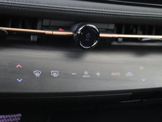 Nissan Ariya Limited Edition 91 kWh 22 kwh lader