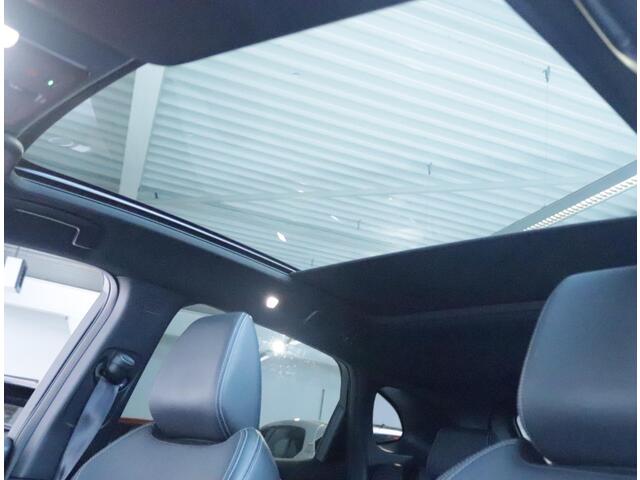 Nissan QASHQAI 1.3 MHEV 158 Xtronic Tekna Plus Clima/Navi/Camera/Panoramadak/Leder/Pro-Pilot!