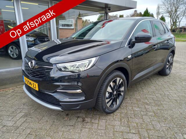 Opel Grandland X 1.2 Turbo Business Executive Climate control, Panoramadak,Cruise Control, PRIJS RIJKLAAR