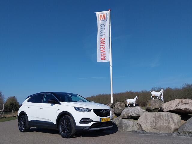 Opel Grandland X 1.2 Turbo AUTOMAAT Edition 2020 1e EIGENAAR CAMERA APPLE CARPLAY FULL LED NAVI CRUISE AIRCO