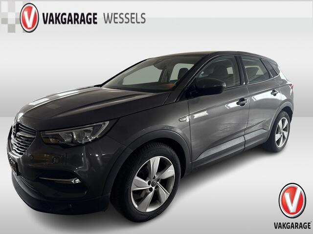 Opel Grandland X 1.2 Turbo Edition | LM | PDC | CAMERA |TREKHAAK |