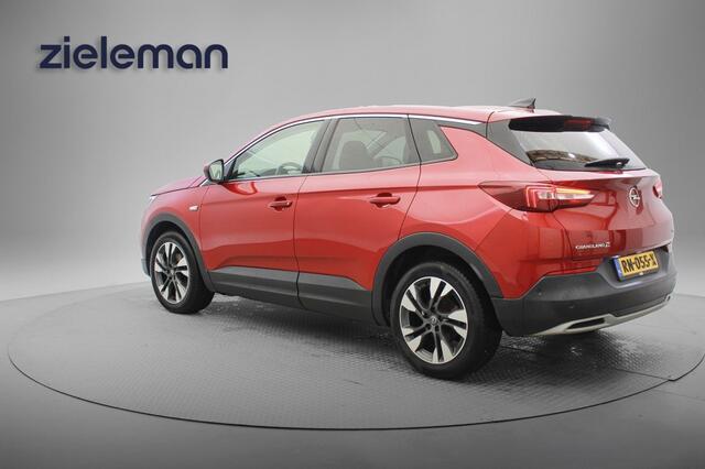 Opel Grandland X 1.2 Turbo Business Executive - Panorama, Carplay, Navi, Cruise, Half Leer