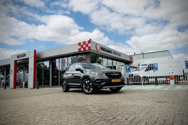 Opel Grandland X 1.2 Turbo Business Executive | TREKHAAK | STOEL VERW - KOELING