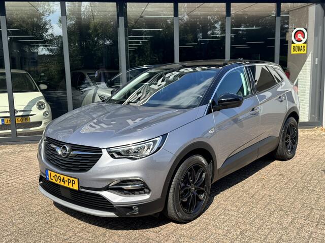 Opel Grandland X 1.2 Turbo Business Executive*Navigatie*Winterpakket*