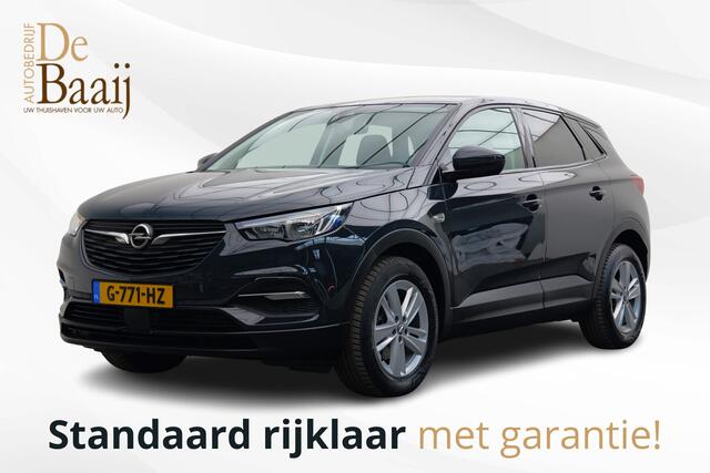 Opel Grandland X 1.2 Turbo Business Edition | Winter pakket | Achteruitrijcamera | 17'' Licht metaal