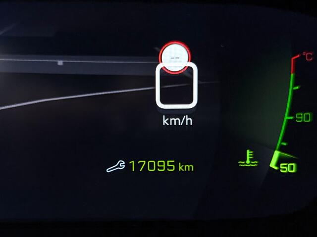 Peugeot 208 1.2PT 100PK GT | Private lease 399 pm