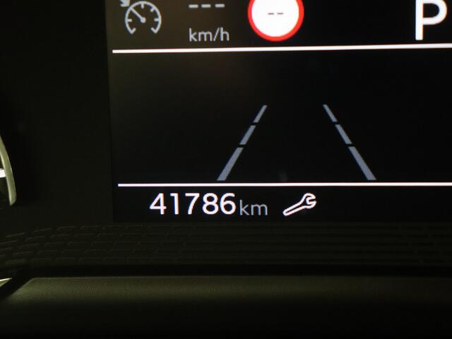 Peugeot 208 1.2 PureTech Active Pack | Parkeerhulp | Navigatie | Airco | LMV Bi Tone |