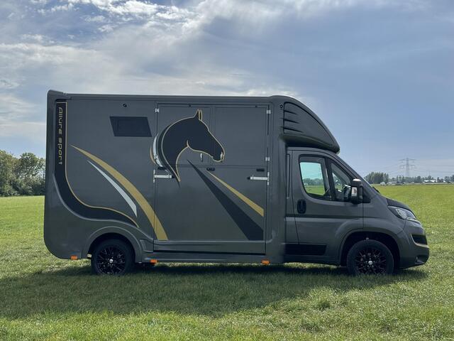 Peugeot BOXER Allure Sport Paardenwagen 2.2 HDI 165pk | 1640kg laadvermogen | 3-zitplaatsen | Trekhaak | Lederen bekleding | Navigatie | Climate | Videobewaking |