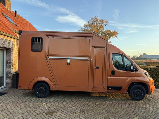 Peugeot BOXER PAARDENWAGEN MVV 3XL | DUB CAB | 2016 | B-RIJBEWIJS | BEZICHTIGEN OP AFSPRAAK