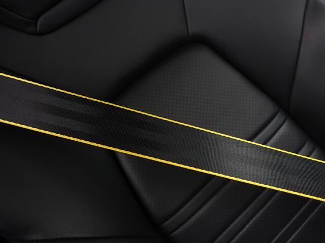 Porsche CAYENNE 2.9 S Exclusive Manufaktur- Sport Chrono, PPF Xenon Led, Stand Kachel, Active Safe, Sfeerverlichting
