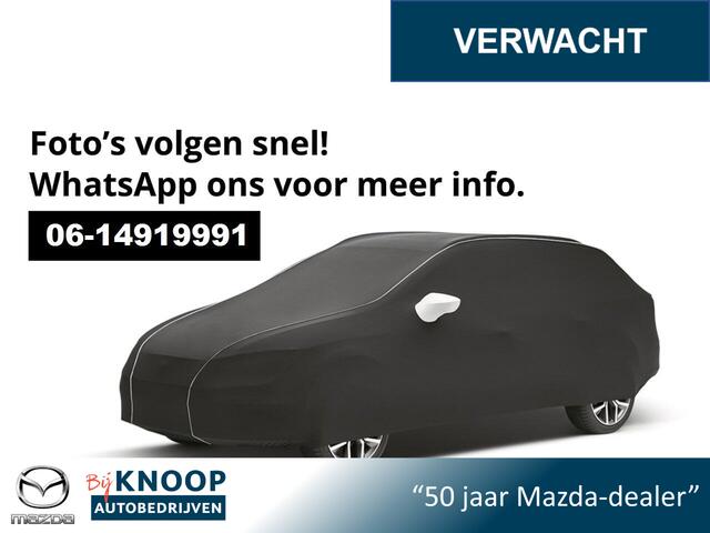 Renault Arkana 1.6 E-Tech Hybrid 145 R.S. Line | Pack Look | Panoramadak | Trekhaak |